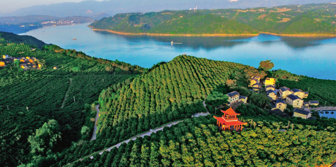 1763108432128135.png b.png