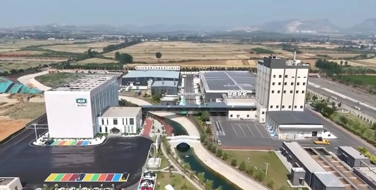 1765525646250875.jpg 113.jpg