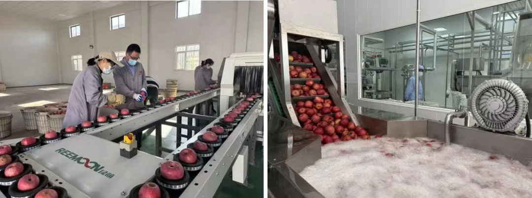 1765525726449682.png a1.png