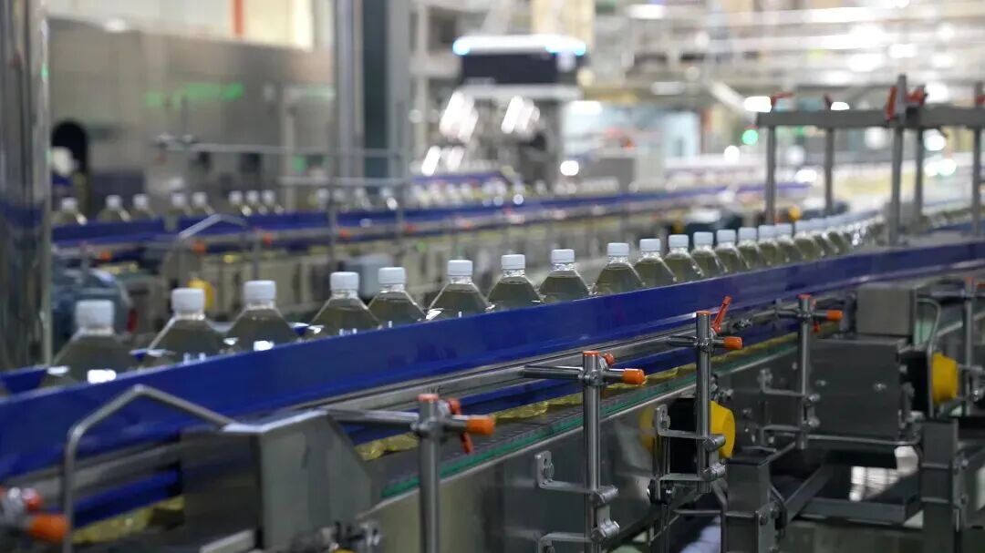 1769655519286161.jpg 1112.jpg