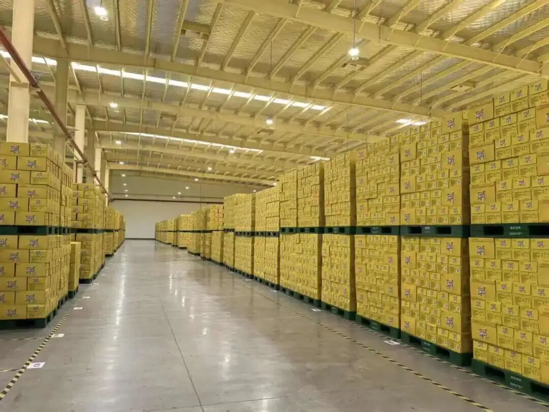 1769655536113965.jpg 1114.jpg