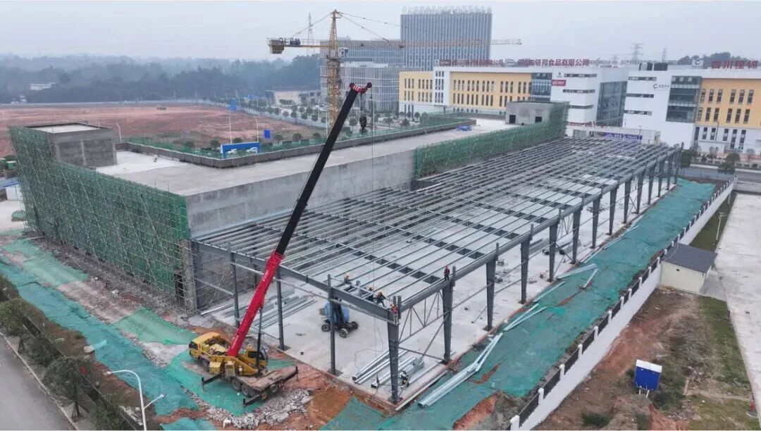 1769655634103779.jpg 11113.jpg