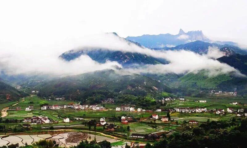 1774419329397355.jpg a1.jpg