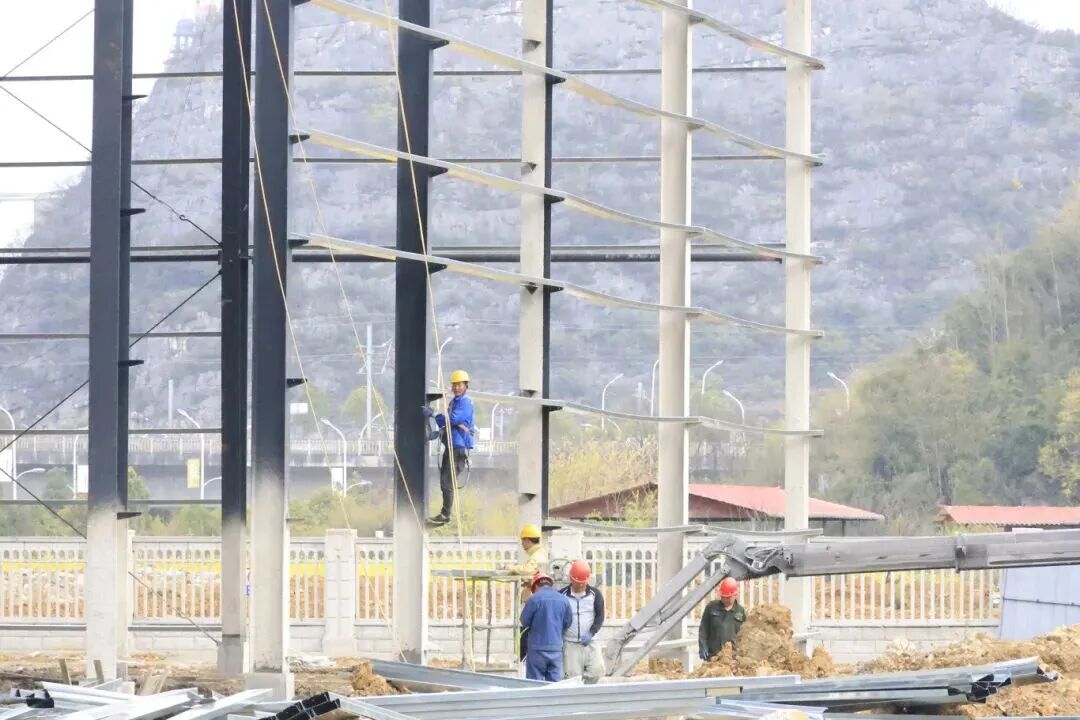 1774424234373472.jpg c2.jpg