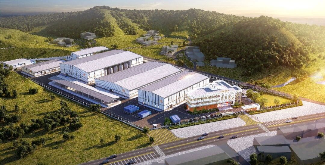 1774424336109231.jpg d1.jpg